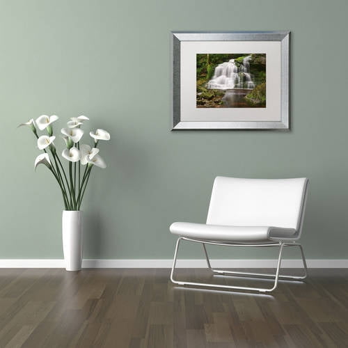 Trademark Fine Art 'Elakala Falls' Canvas Art by Michael Blanchette Photography, White Matte, Silver Frame