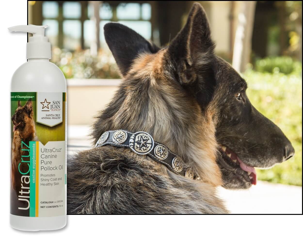 UltraCruz® Canine Pure Pollock Oil, 16 oz
