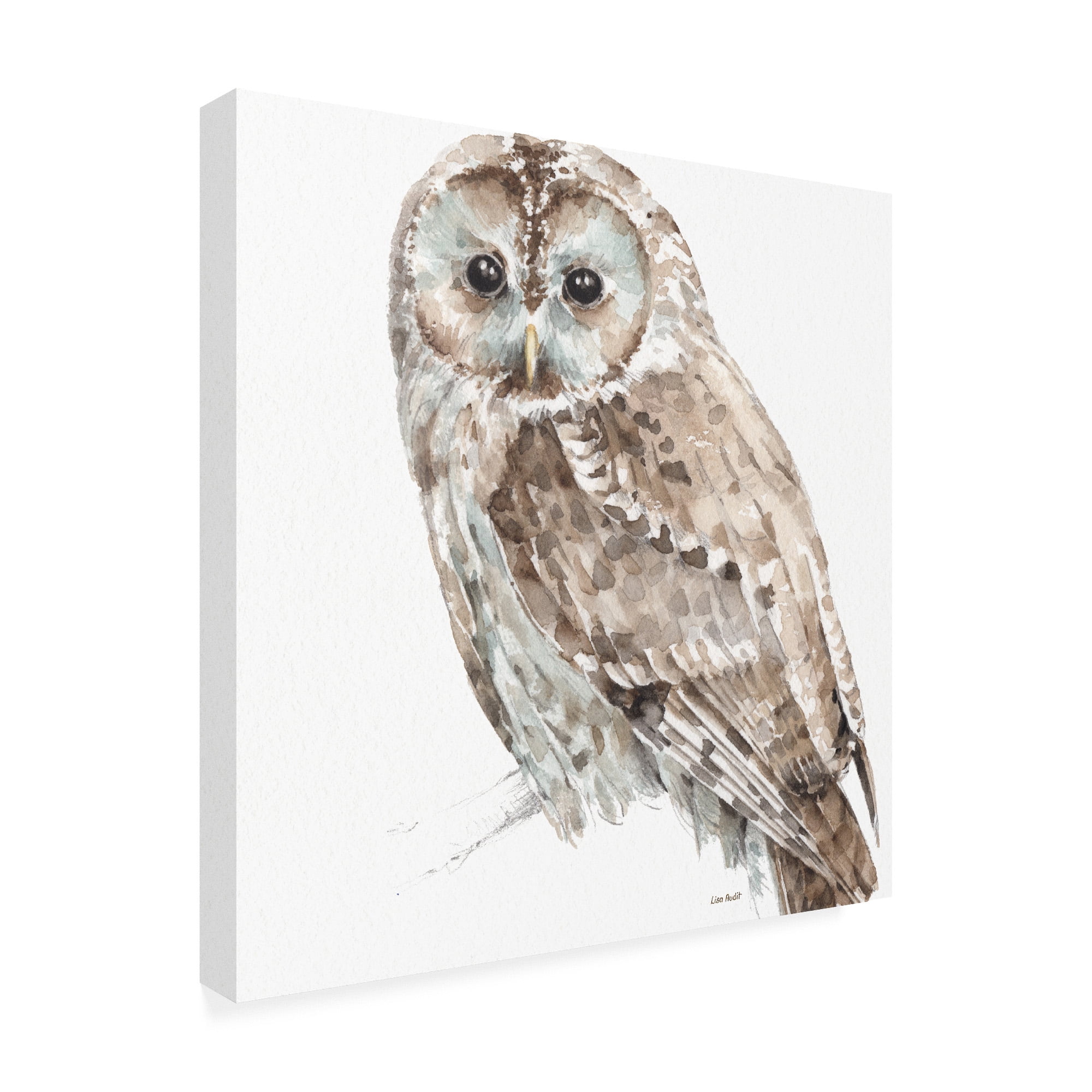 Trademark Fine Art 'Forest Friends III Soft Shade' Canvas Art by Lisa Audit