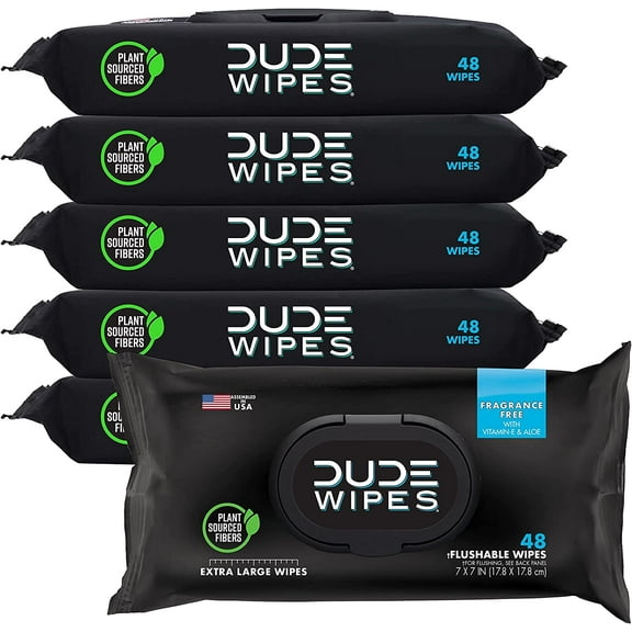 DUDE Wipes Flushable Wipes, XL Wet Wipes for At Home Use, Unscented, 48 Count, 6 Pack