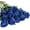 Royal Blue, variant on Muchenggift Artificial Silk Blue Rose Wedding Bouquet (12 Count)