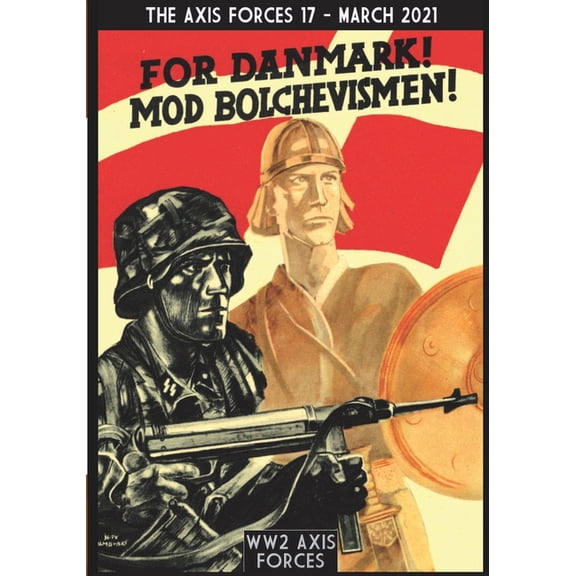 The Axis Forces 17 (Paperback)