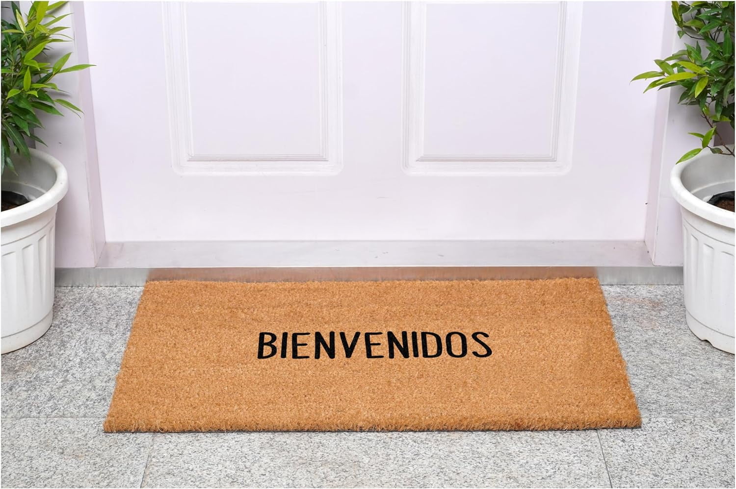 Calloway Mills 113381729 Bienvenidos Spanish Doormat 17" x 29"