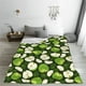 thumbnail image 5 of Fotbe Green Fruit Manta de Franela Acolchonada con Estampado, Súper Suave y Esponjosa, Extra Grande para Sofá, Cama, Uso Todo el Año-50"x40", 5 of 7