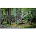 thumbnail image 2 of Forêt de Mousse Dense en Vert - Impression sur Toile Paysage, 2 of 3