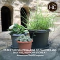 thumbnail image 7 of The HC Companies Prima Planter Round Plastic Plant Pot - Rolled Rim, Drainage - 16", Black, 7 of 7
