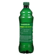 2 Pack Pinalen® Original Pine Multipurpose Cleaner 25.3 fl. oz. Bottle