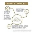 thumbnail image 5 of Sunwarrior NMN Capsules 500mg 60ct Bottle (30 SRV), 5 of 8