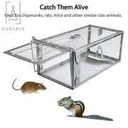 Gustave 2Pcs Rat Trap Cage Humane Mouse Traps Animal Pest Mouse Control Bait Catch -11*5.5*4.3 inch