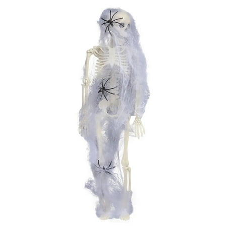 

Arachnoid Araneid 15.75inch/40cm Skeleton Full Live Human Bones With Movable Joints For Indoor Outdoor Props Decorations Easter Table Decorations Sexy Statues Brass Decorative Objects Easter Candy Jar