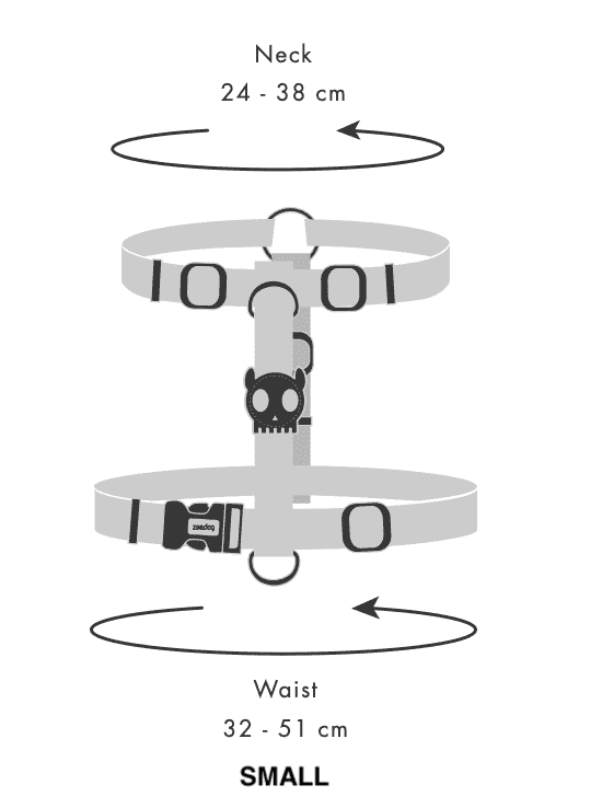 Honey | H-Harness