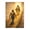 Wooden puzzle 102, variant on 1000-Piece Adult Wood Jigsaw Puzzle, Our Lady of Guadalupe with Mexican Flag & Map Art, High-Difficulty, Stress-Relieving, Family Activity, Wall Decor, Eco-Friendly, 29.5x19.7in