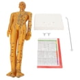 thumbnail image 1 of Acupuncture Model, Acupoint Body Model Sturdy Base Man 53cm  for Teachers for Practice, 1 of 7