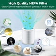 thumbnail image 6 of H13 True HEPA Air Purifier Filter Replacement Compatible with AIRFIRE AP401 and AP402, Activated Carbon Filters for Pet Dander Smoke Dust, 1 Pack, 6 of 6