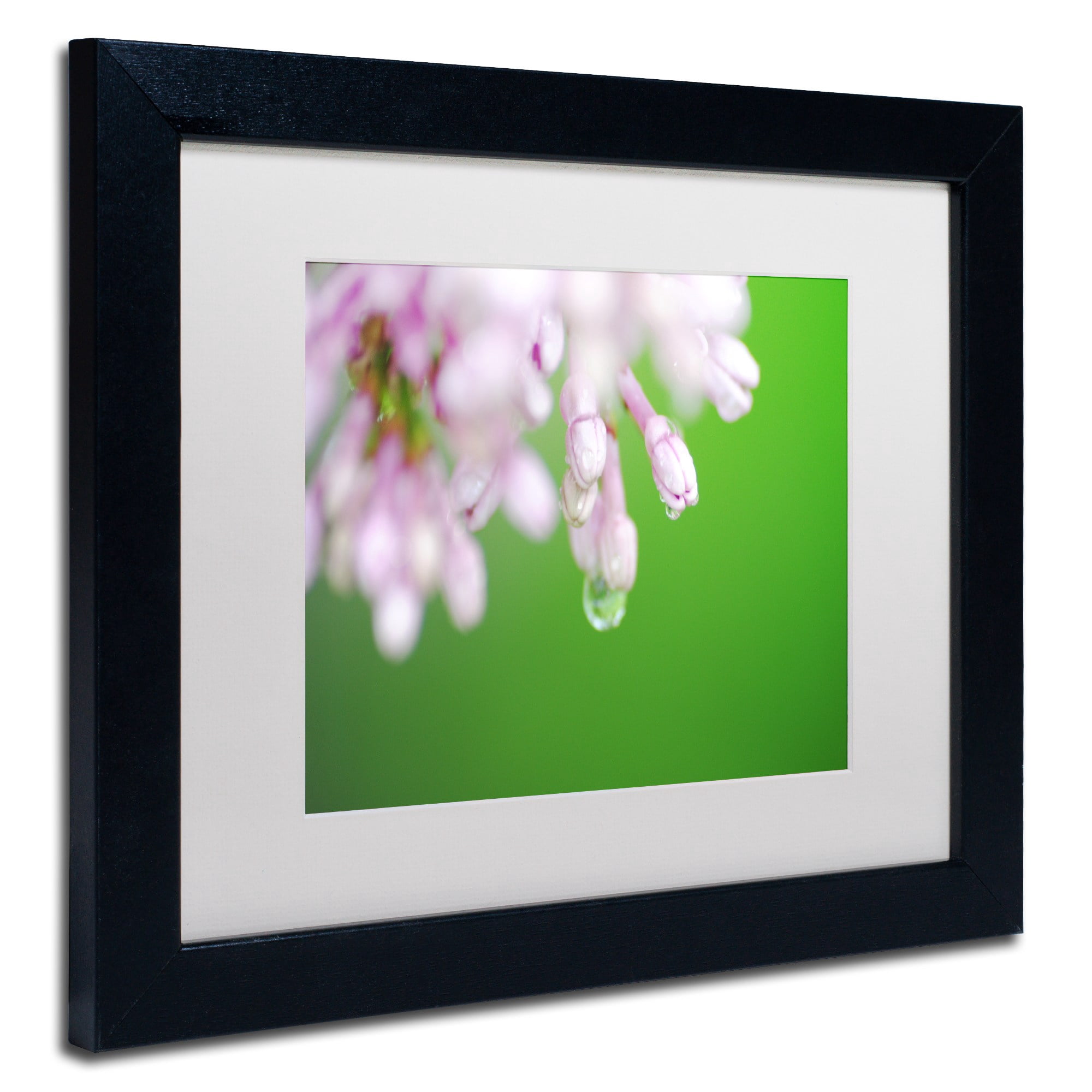 Trademark Fine Art "Pure" Canvas Art by Monica Mize, White Matte, Black Frame