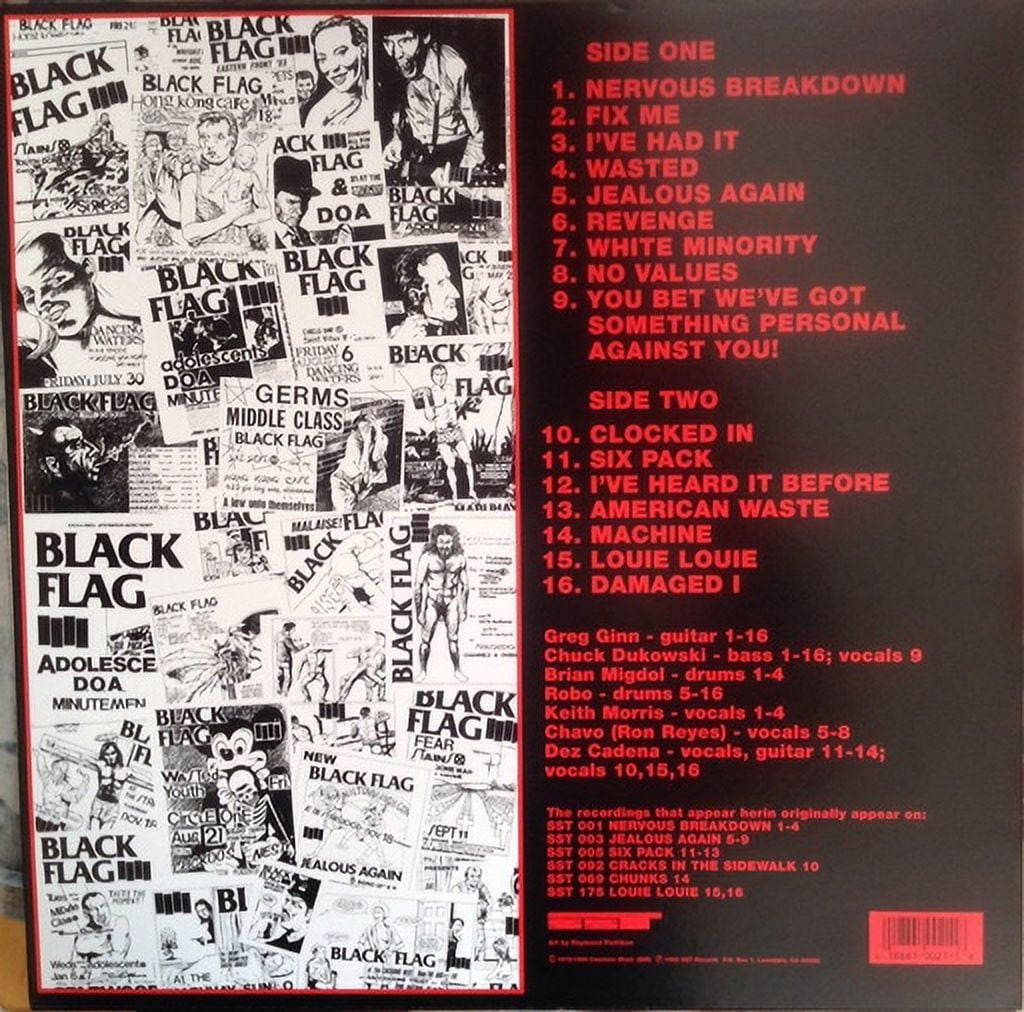 【新品】The Birthday 『RAISE YOUR BLACK FLAG』 RAISE YOUR BLACK FLAG The Birthday TOUR VISION FINAL 2012
