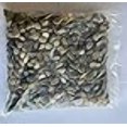 thumbnail image 3 of Easythru Trading Decorative Pebbles River Rocks 40 lbs. (Small, Mix), 3 of 4