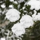 thumbnail image 5 of Bolas de Navidad blancas de 8 cm, adornos para árbol de Navidad, decoraciones navideñas para el hogar, bolas de espuma decorativas para árbol de Año Nuevo 2023, 3 piezas/caja, 5 of 5