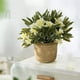 thumbnail image 5 of Bonsái artificial | Arreglo floral y de lavanda artificial | Decoración para el hogar y la oficina: ideal para la sala de estar, la entrada o estanterías | Vegetación artificial en jarrón moderno, 5 of 6