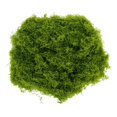 thumbnail image 4 of Bgsha Realistic Faux Moss for Model Making 50g 100g 200g Enhances Creativity, 4 of 7