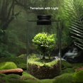 thumbnail image 2 of Terrario de vidrio AREPK de 25 cm de alto con luz LED de cultivo de 10 W, 2 of 6