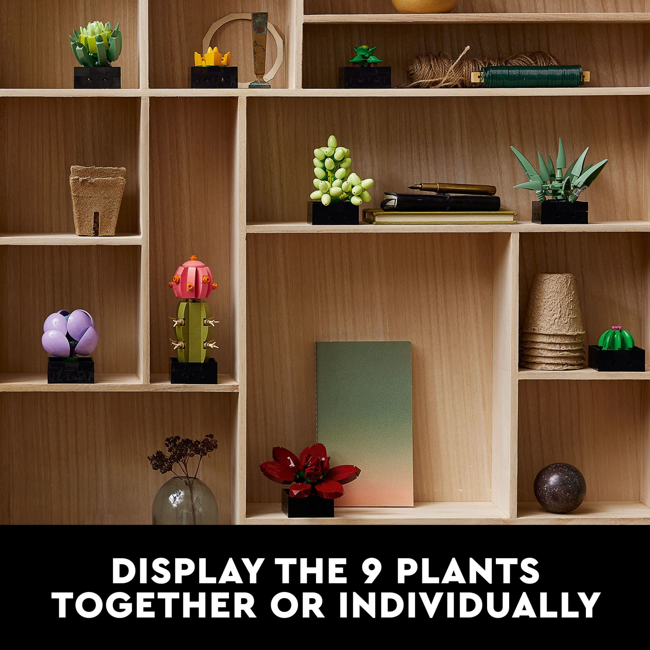 LEGO Icons Succulents, 5" Artificial Plant, Multicolor, Plastic, for Home Decor