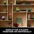 thumbnail image 6 of LEGO Botanicals Succulents - Artificial Indoor Plant Building Set for Home, Kitchen, Desk Decor Adults Ages 18+ - Creative Birthday or Housewarming Gift Idea - 10309, 6 of 9
