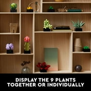 LEGO Icons Succulents, 5 Artificial Plant, Multicolor, Plastic, for Home Decor