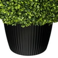 thumbnail image 6 of Vickerman 24" Artificial Potted Green Boxwood Ball., 6 of 8