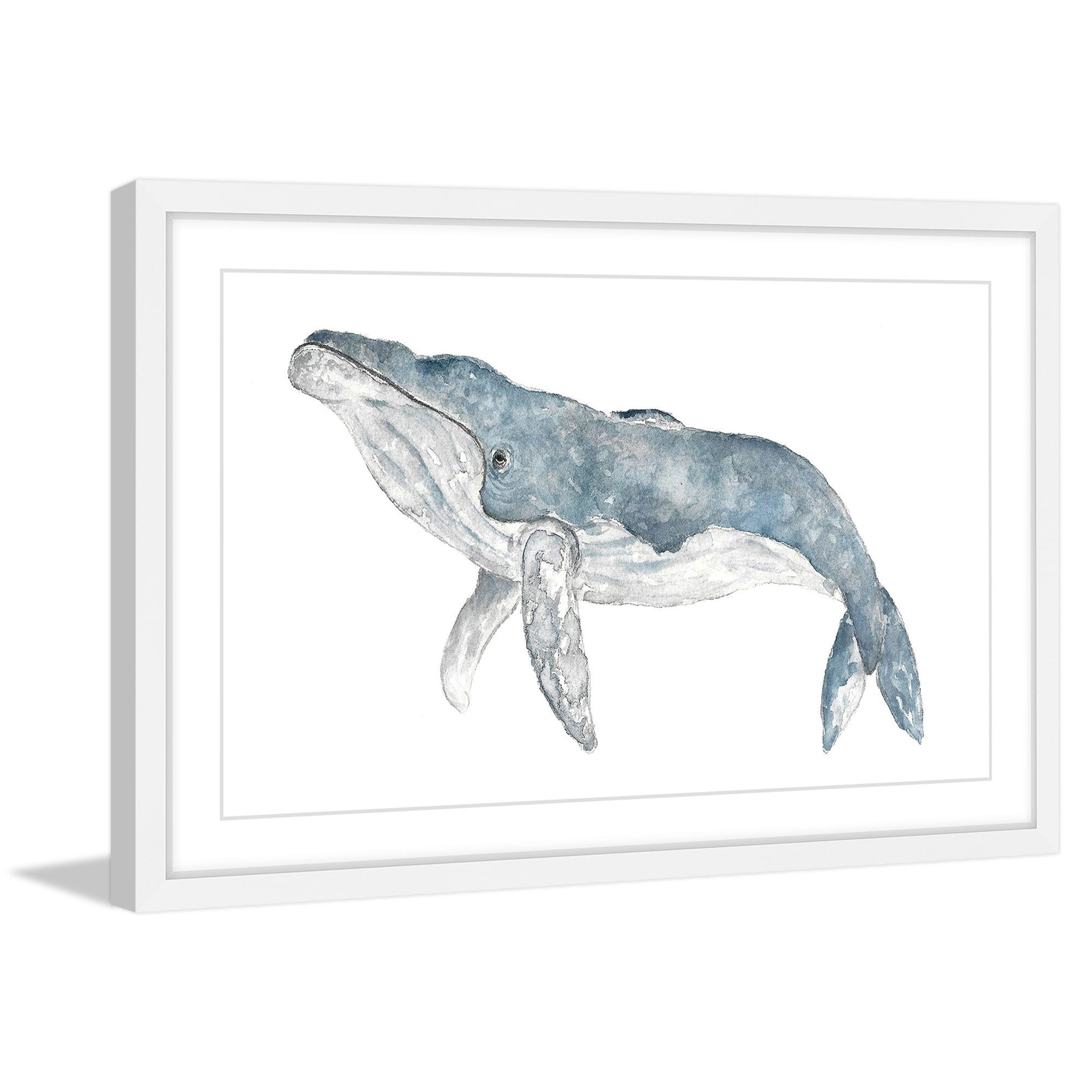 Marmont Hill "Humpback Whale" by Thimble Sparrow Framed Painting Print