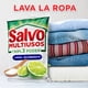 thumbnail image 5 of Detergente en Polvo Salvo Multiusos Limón Triple Poder 1kg, 5 of 5