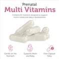 thumbnail image 4 of Total One Prenatal, Essential Once-Daily Prenatal, 60 Capsules, Zahler, 4 of 6