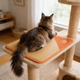 thumbnail image 4 of Summer Mattress Suitable For And Cats Breathable Pad Made Of Soft Portable Bed For Indoor Use, 4 of 7