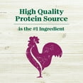 thumbnail image 4 of Nutro Max Adult Dry Dog Food With Farm-Raised Chicken, 25 Lb. Bag, 4 of 11