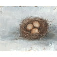 thumbnail image 2 of Harper, Ethan 32x26 Gold Ornate Wood Framed with Double Matting Museum Art Print Titled - Rustic Bird Nest II, 2 of 4