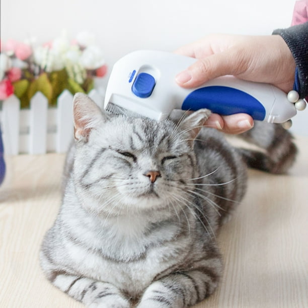 Peines para quitar pulgas para gatos, peine para mascotas, herramienta eléctrica para quitar pulgas, piojos, limpieza de mascotas