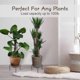 thumbnail image 3 of Iron Flower Stand, Set of 3, Rust-Resistant, 9 Inch for Indoor and Garden, Elegant Black Design, 3 of 4
