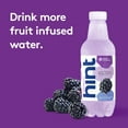 thumbnail image 3 of Pack of 2 Hint Blackberry Flavored Water Bottle, 16 fl oz (Package May Vary), 3 of 5
