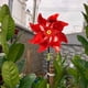 thumbnail image 5 of Molinos de viento de jardín reflectantes con estacas | Molinetes de prevención de pájaros para patio, patio, huerto | Spinner de decoración al aire libre | Plástico multicolor | Ahuyentar a los, 5 of 5