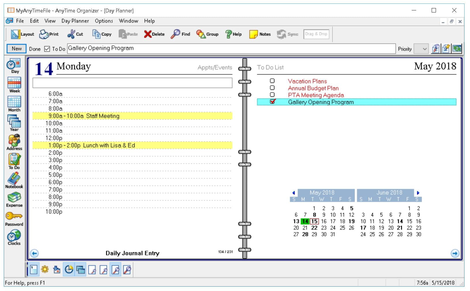 Individual AnyTime Organizer Standard 16 (Email Delivery)