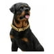 thumbnail image 3 of R Collar De Perro De Eslabón Cubano, Cadena De Oro, Collar, 3 of 8