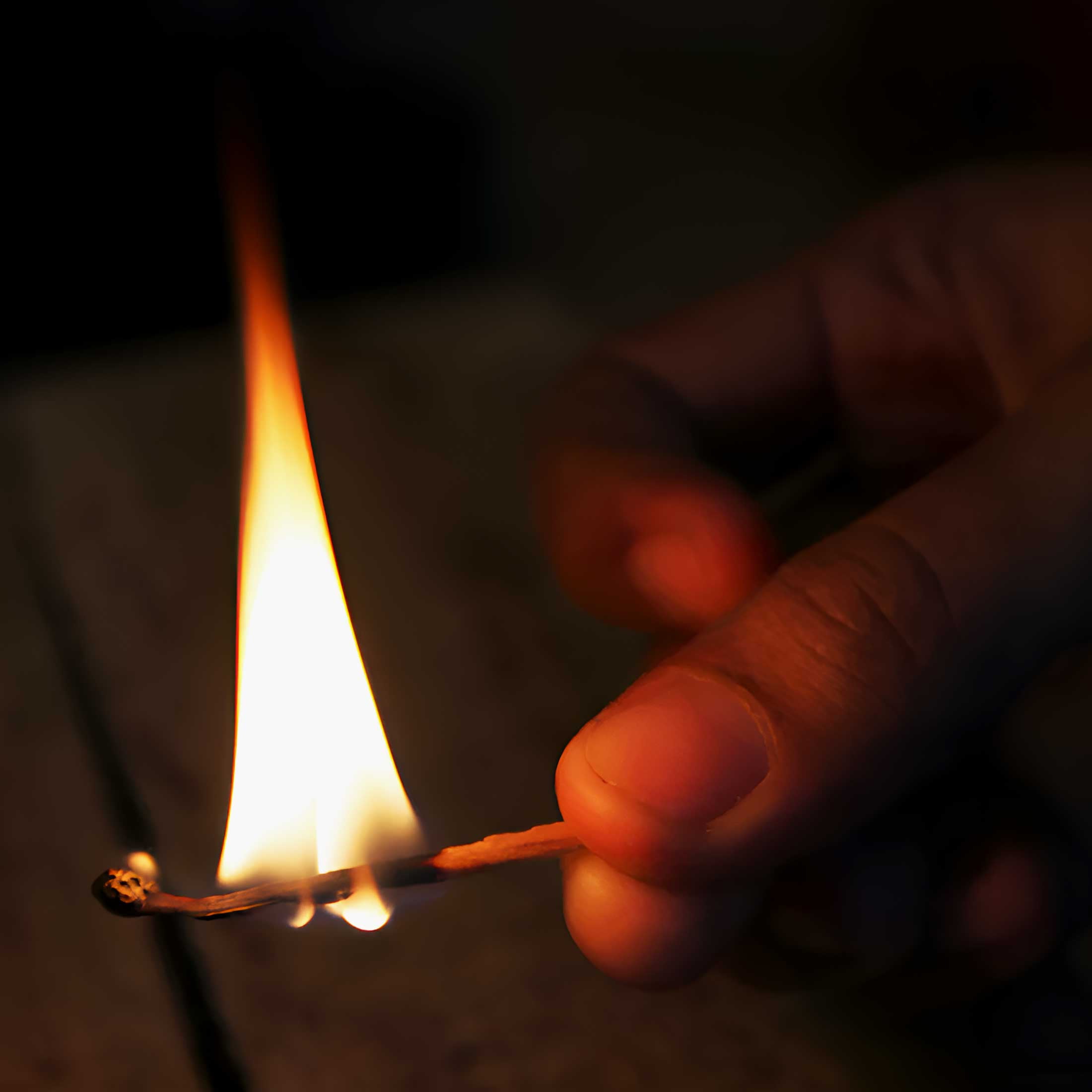 GoFire Waterproof Fire Starters 4 packs of 40 Matches for Outdoor Use, 160 Total