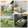 thumbnail image 2 of Dog Grass Pad with Tray,35x23in Dogs Potty Tray with 2-Pack Upgraded Replacement Artificial Grass,Dog Litter Box for Pet Training,Indoor Portable Pottys Pet Toilet, 2 of 6
