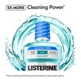 thumbnail image 4 of Listerine Cool Mint Alcohol Free Mild Oral Care Mouthwash for Bad Breath, Cool Mint Mild, 1 L, 4 of 12