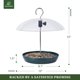 thumbnail image 4 of Comedero para pájaros Kingsyard, plataforma ajustable para exteriores, 4 of 9
