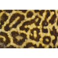 thumbnail image 2 of Posterazzi DPI1832606LARGE Close Up of Leopard Gecko Skin Patterns Poster Print, Large - 34 x 22, 2 of 4