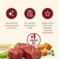 thumbnail image 6 of Nutrish Real Beef & Pumpkin Recipe Whole Health Blend Premium Paté Wet Dog Food, 13 oz. Can (Rachael Ray), 6 of 11