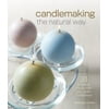 Pre-Owned Candlemaking the Natural Way: 31 Projects Made with Soy, Palm & Beeswax (Paperback) 1600597807 9781600597800