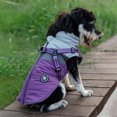 thumbnail image 3 of Lucoss Winter Dog Coat with integrated harness No Pull Cold Weather Waterproof Warm Fleece Back Zipper for Small & Medium Dog, 3 of 5