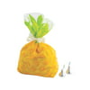 Pineapple Cellophane Bags - Party Supplies - 12 Pieces